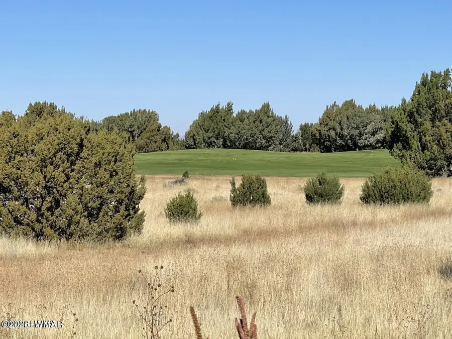 8414 Lake View Drive, Show Low, AZ 85901 - #3