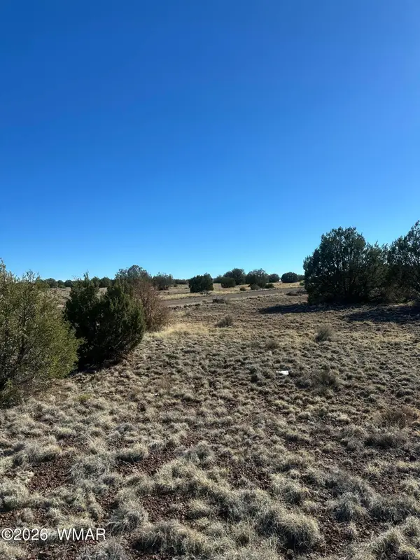 TBD 201-29-164c, Concho, AZ 85924