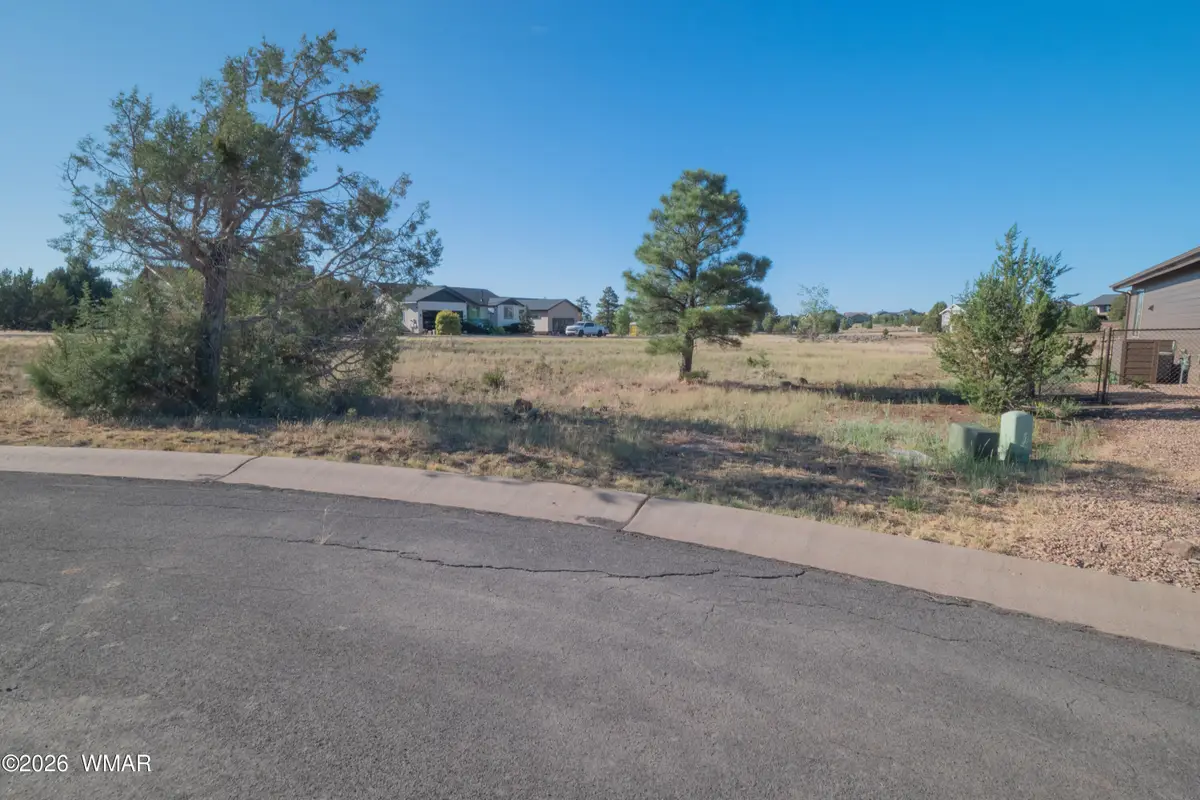 981 S Lorenzo Sitgreaves Drive, Show Low, AZ 85901 - #1