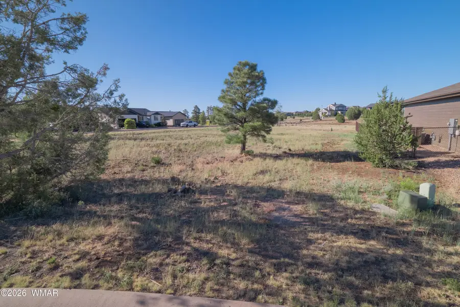 981 S Lorenzo Sitgreaves Drive, Show Low, AZ 85901 - #2