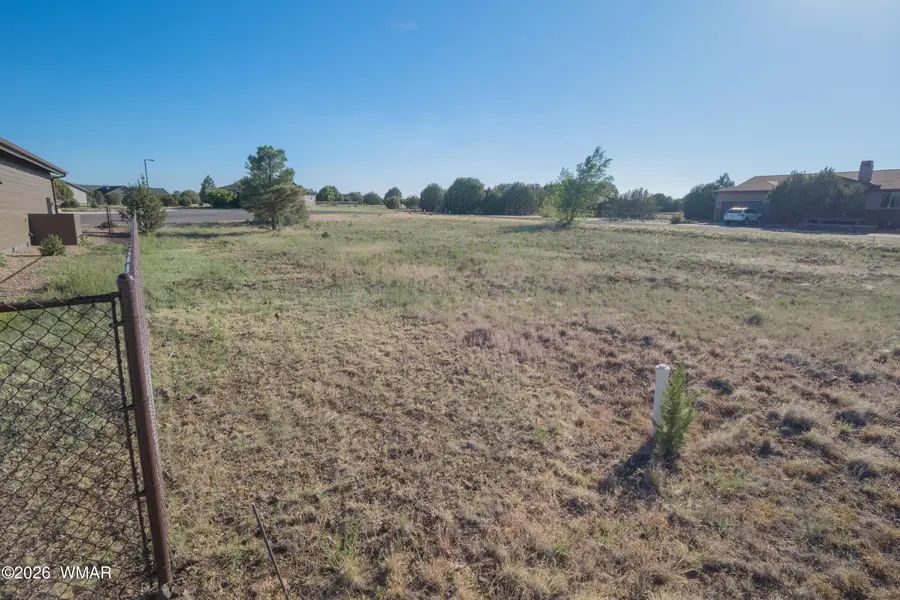 981 S Lorenzo Sitgreaves Drive, Show Low, AZ 85901 - #3