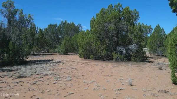 TBD Concho Valley Lot 3, Concho Valley, AZ 85924