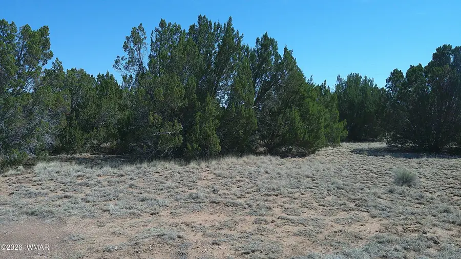 TBD Concho Valley Lot 3, Concho, AZ 85924 - #2