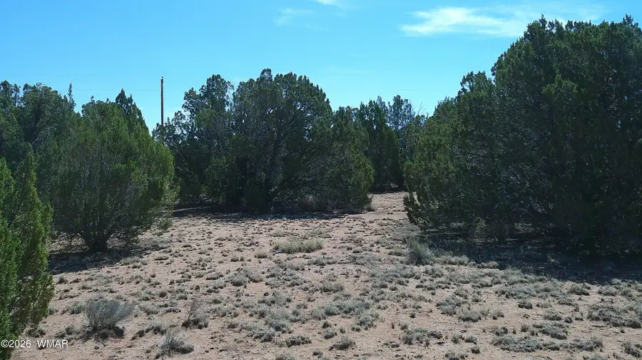 TBD Concho Valley Lot 3, Concho, AZ 85924 - #3