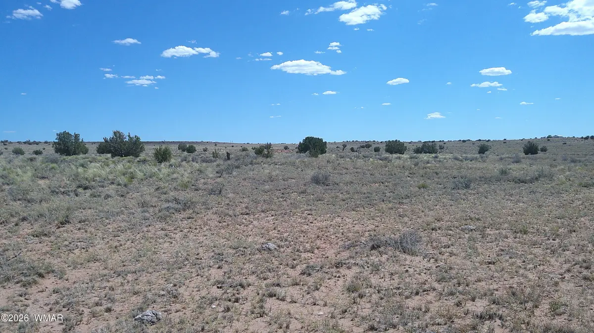 8356 Holly Trail, Snowflake, AZ 85937 - #1