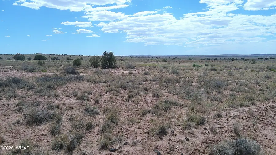 8356 Holly Trail, Snowflake, AZ 85937 - #2