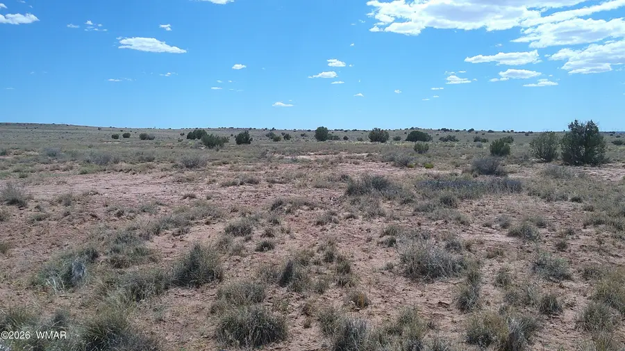 8356 Holly Trail, Snowflake, AZ 85937 - #3