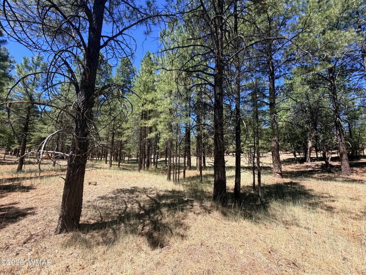 2124 Antelope Way, Happy Jack, AZ 86024 - #1