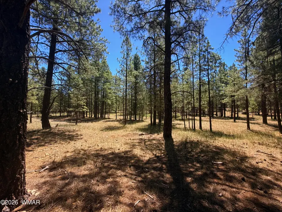 2124 Antelope Way, Happy Jack, AZ 86024 - #3