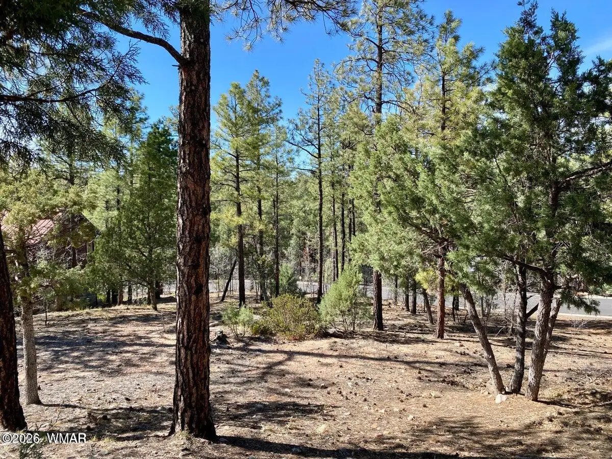 901 E Cedar Ridge Run, Show Low, AZ 85901 - #1
