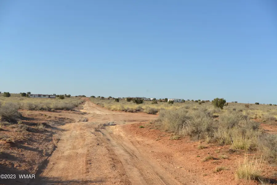 5339 Tina Road, Snowflake, AZ 85937 - #3