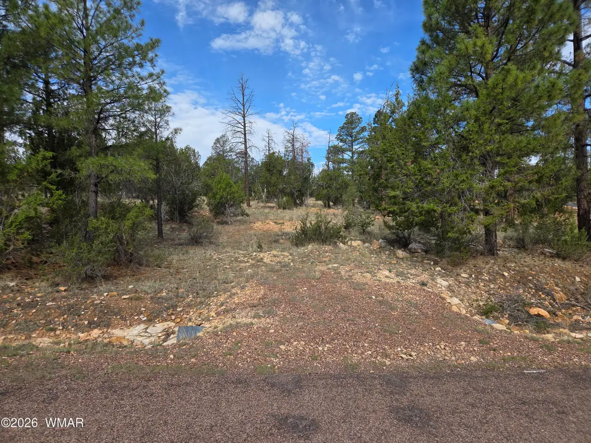 3332 Sawmill Ridge Loop, Heber, AZ 85928 - #1