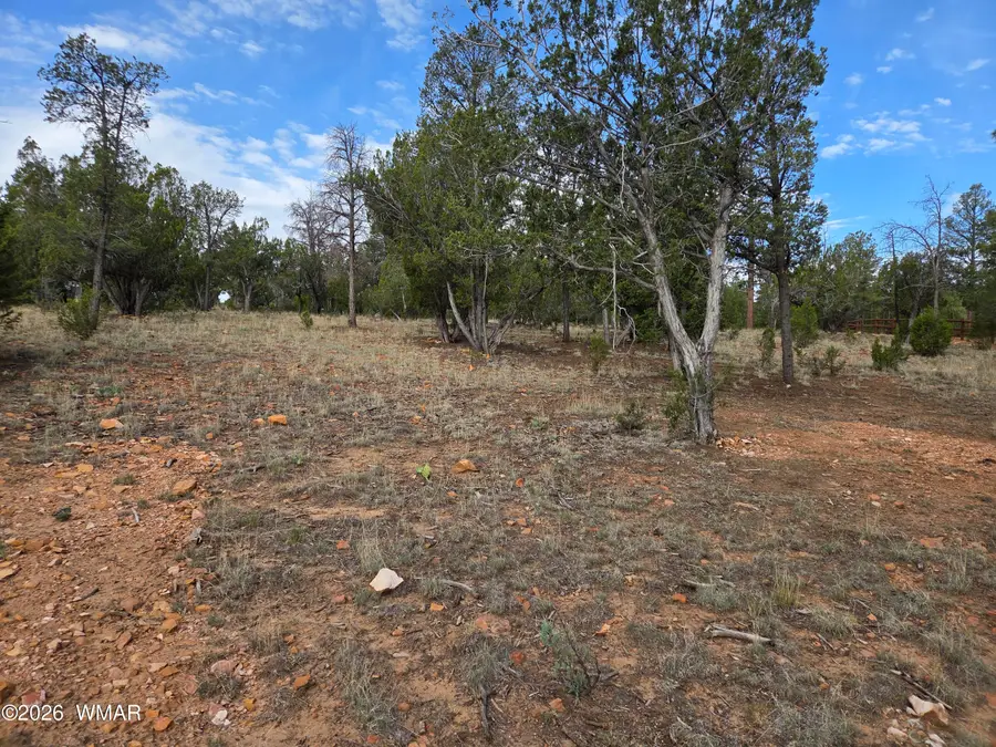 3332 Sawmill Ridge Loop, Heber, AZ 85928 - #3