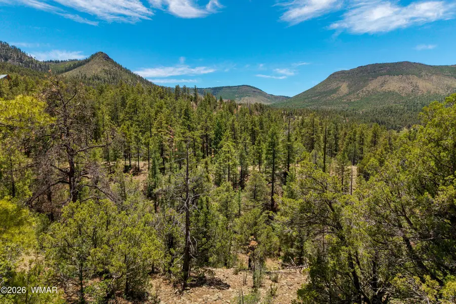 34 Cr 2279, Nutrioso, AZ 85932 - #2