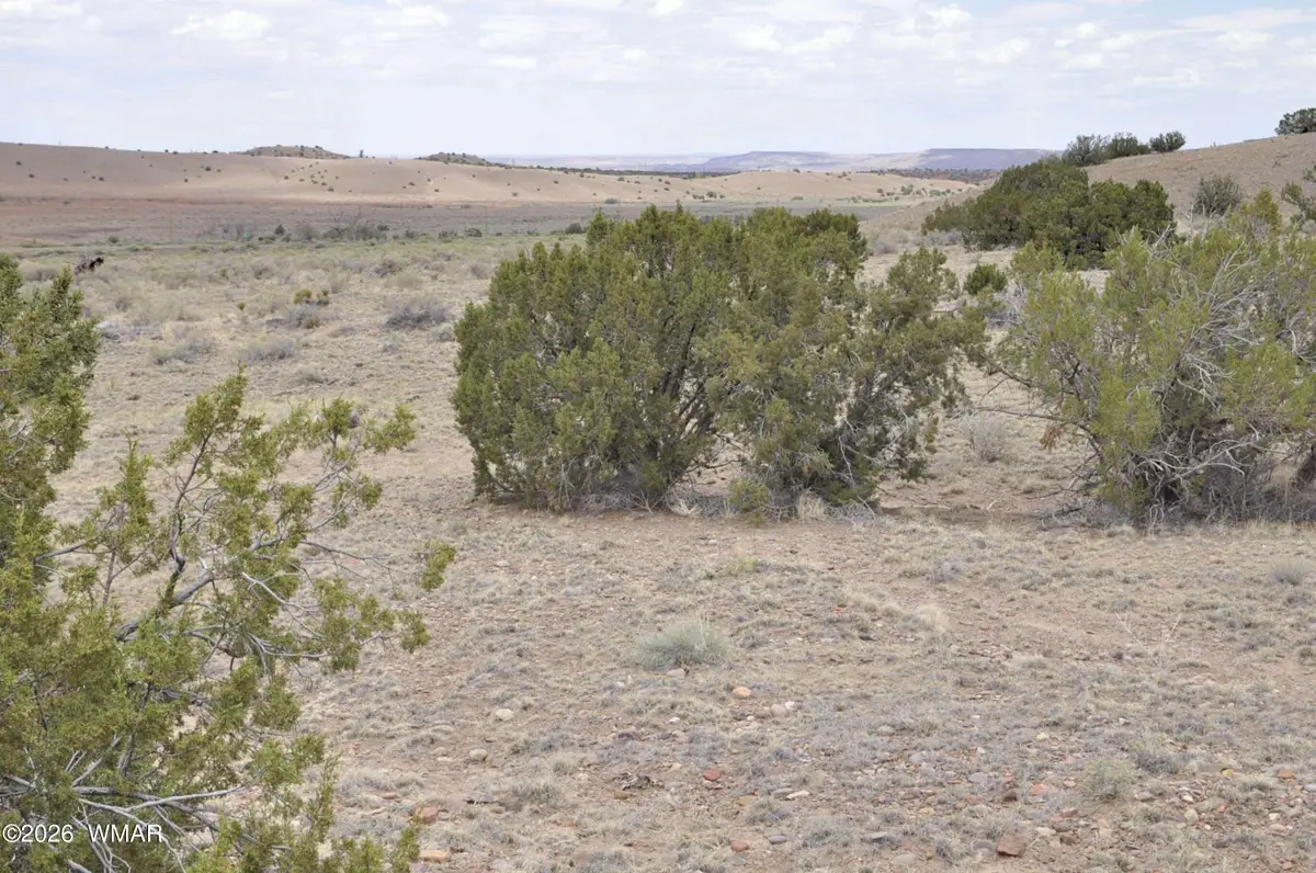 88B County Road 5035, Concho, AZ 85924 - #1