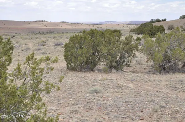 88B County Road 5035, Concho, AZ 85924