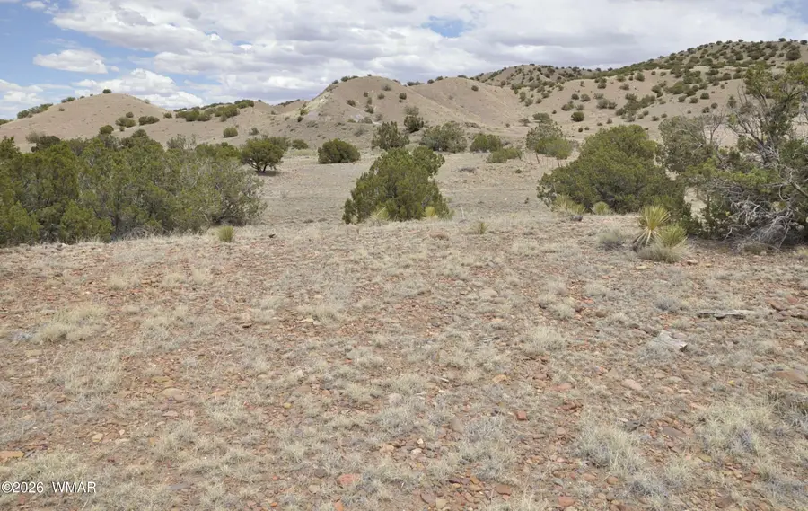 88B County Road 5035, Concho, AZ 85924 - #3