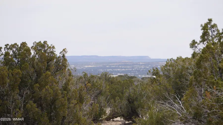 17 N7337, Saint Johns, AZ 85936 - #3