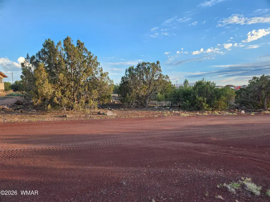 8761 Lance Drive, Show Low, AZ 85901 - #3