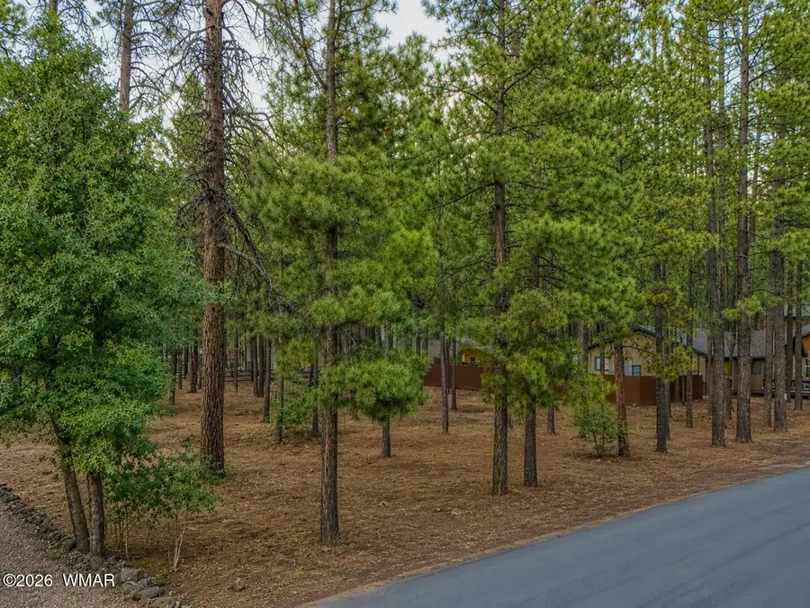4266 Deep Forest Drive, Pinetop, AZ 85935 - #2
