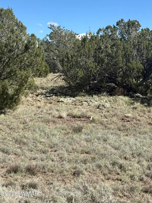 10 NE N8715, Concho, AZ 85924