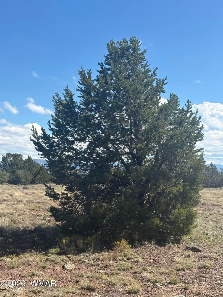 10 NE N8715, Concho, AZ 85924 - #2