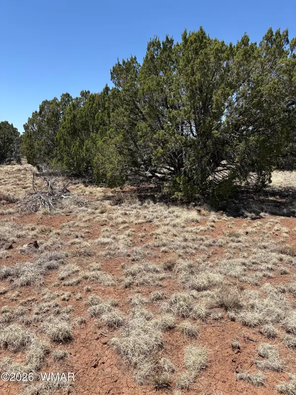 20 SE 8715 Highway, Concho, AZ 85924