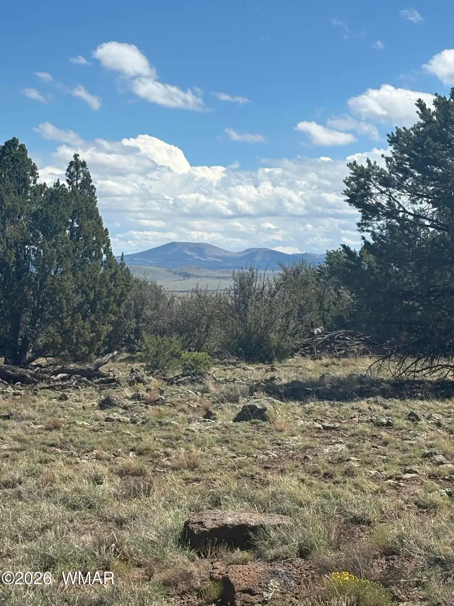 20 SE 8715 Highway, Concho, AZ 85924 - #2