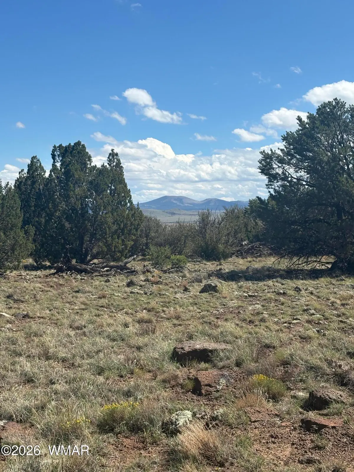 0201 County Road, Concho, AZ 85924 - #1