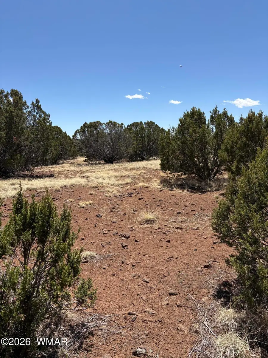 0201 County Road, Concho, AZ 85924 - #2