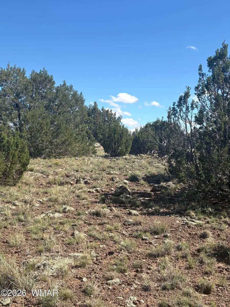 0201 County Road, Concho, AZ 85924 - #3