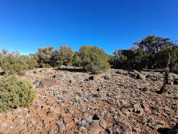 0202 County Road Road, Concho, AZ 85924