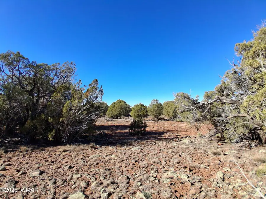 0202 County Road, Concho, AZ 85924 - #2