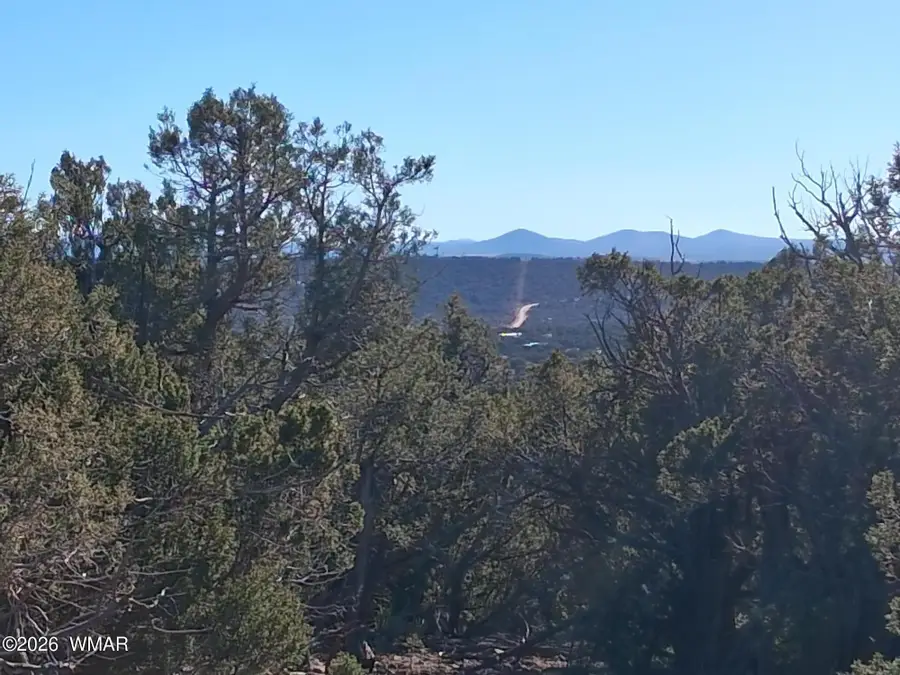 0203 County Road, Concho, AZ 85924 - #2