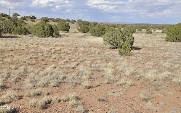 10 N9228, Concho, AZ 85924