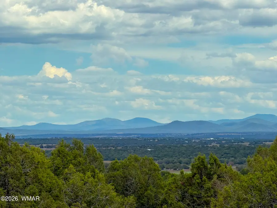 8063 Mustang Lane, Show Low, AZ 85901 - #2