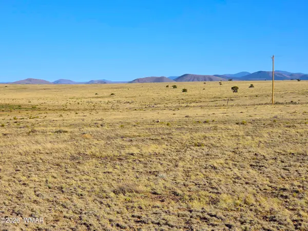Lot 4 Cr 5074, Concho, AZ 85924