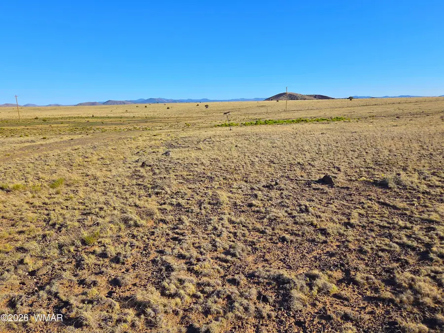 Lot 4 Cr 5074, Concho, AZ 85924 - #2