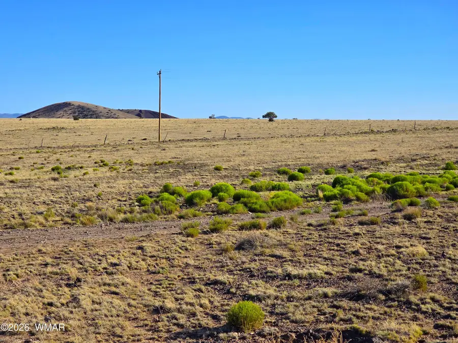 Lot 4 Cr 5074, Concho, AZ 85924 - #3