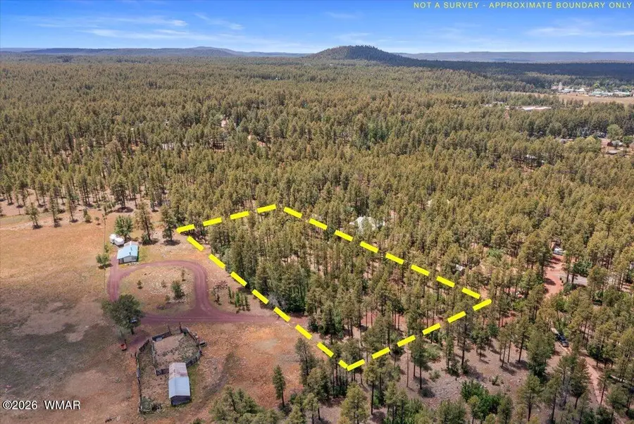 TBD S Hill Drive, Pinetop, AZ 85935 - #2