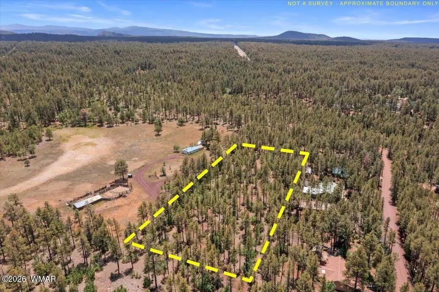 TBD S Hill Drive, Pinetop, AZ 85935 - #3