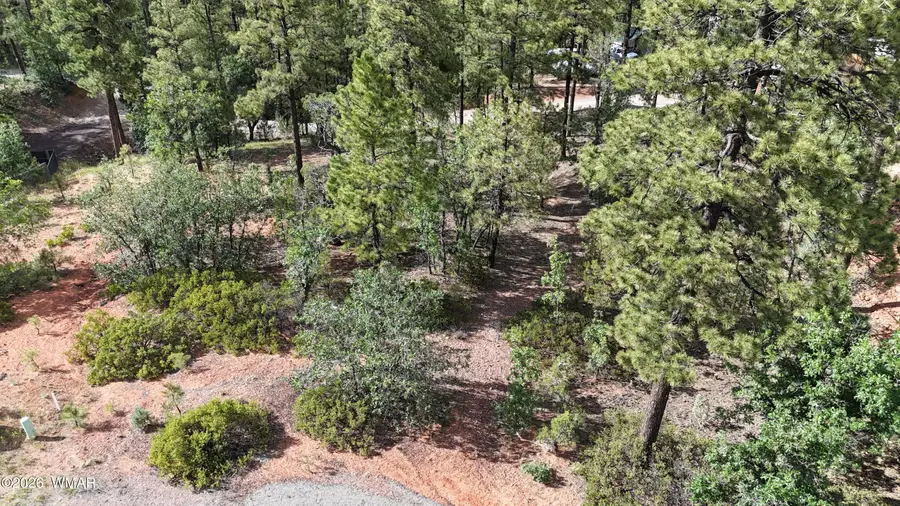 7026 Leo Lane, Lakeside, AZ 85929 - #3