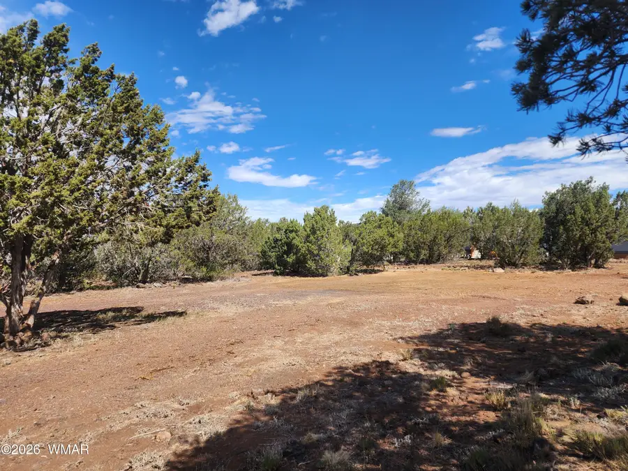 77 Cr 3077, Vernon, AZ 85940 - #2