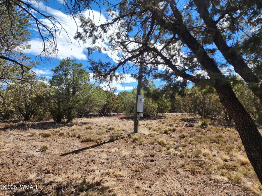 77 Cr 3077, Vernon, AZ 85940 - #3