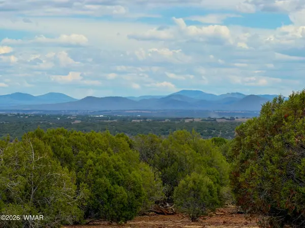8087 Mustang Lane, Show Low, AZ 85901