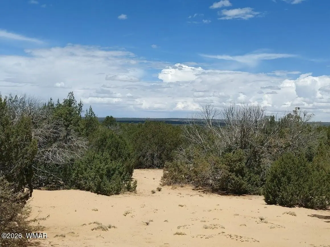 Lot 106 Witch Well Ranches, Saint Johns, AZ 85936 - #1