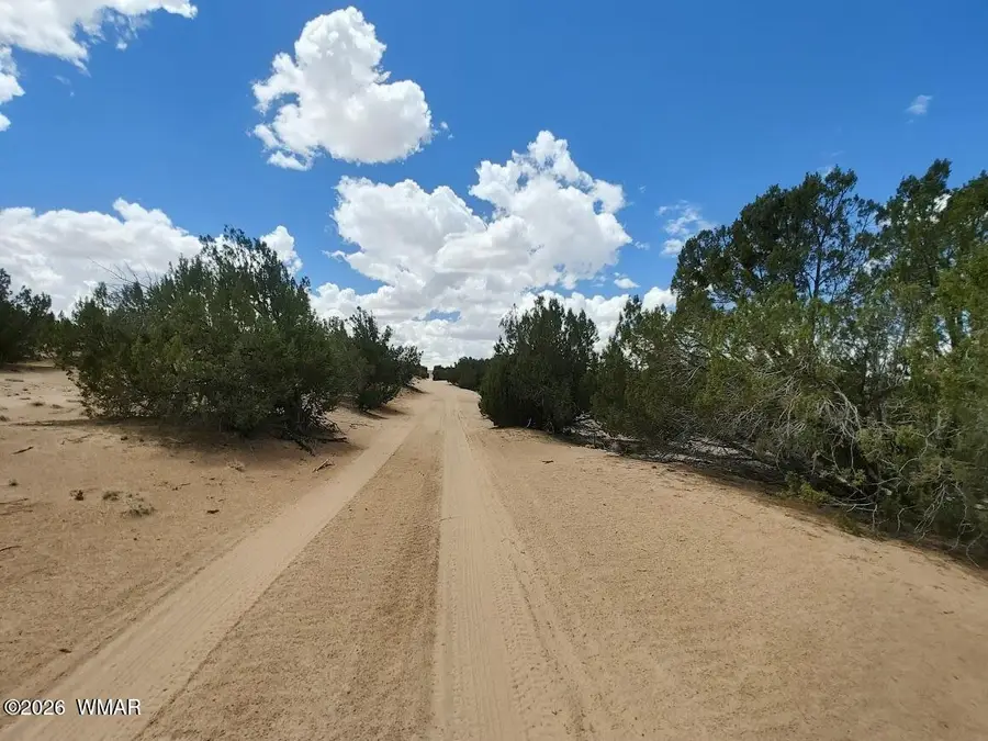 Lot 106 Witch Well Ranches, Saint Johns, AZ 85936 - #2
