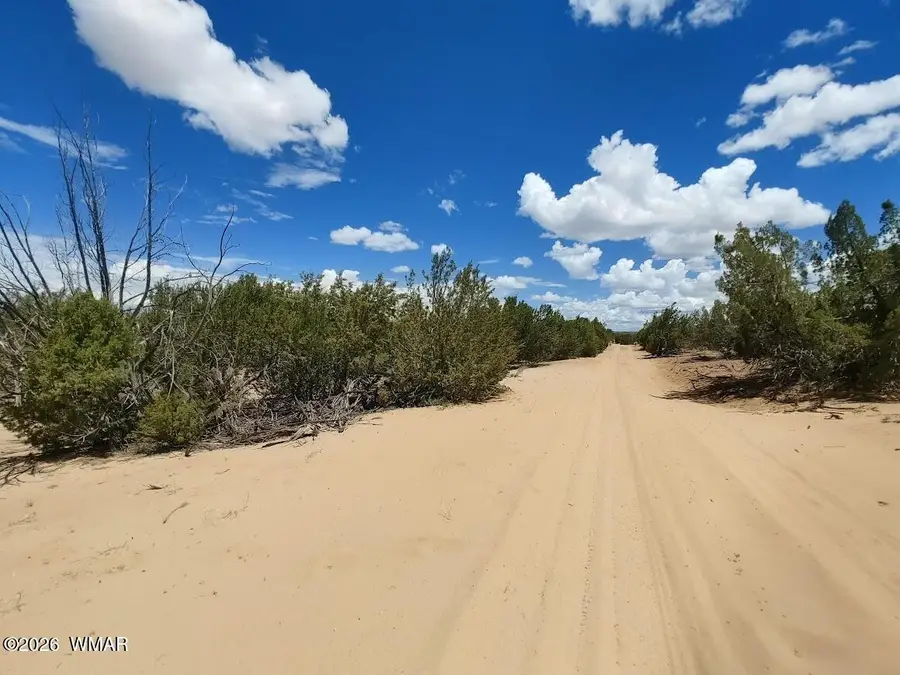 Lot 106 Witch Well Ranches, Saint Johns, AZ 85936 - #3