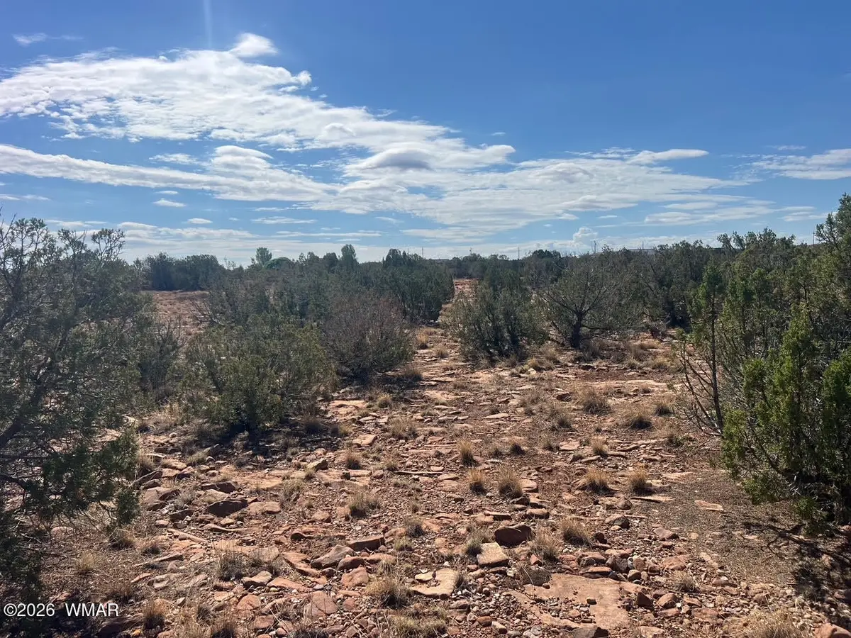 3170 Old Woodruff Road, Snowflake, AZ 85937 - #1