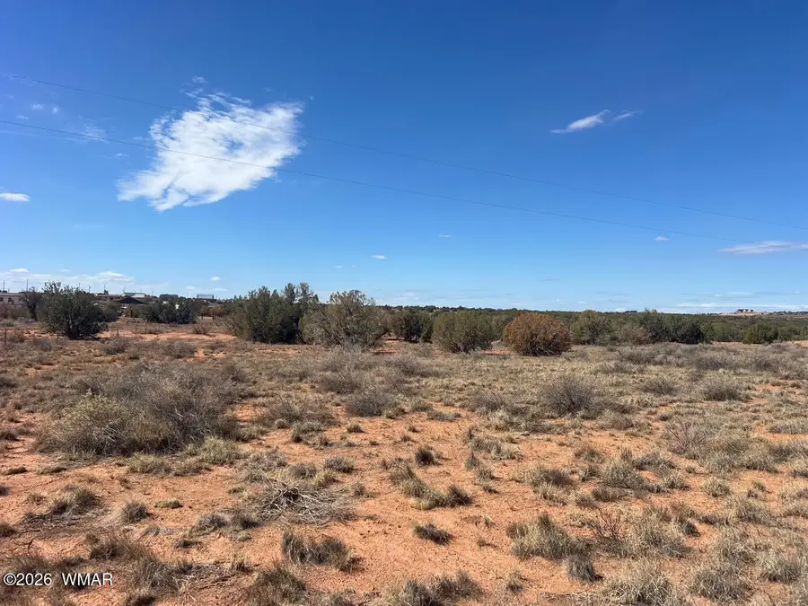 3170 Old Woodruff Road, Snowflake, AZ 85937 - #3